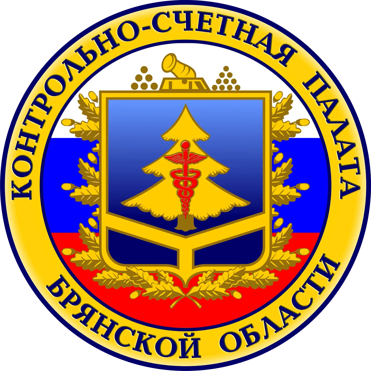 Контрольно-счетная палата Брянской области