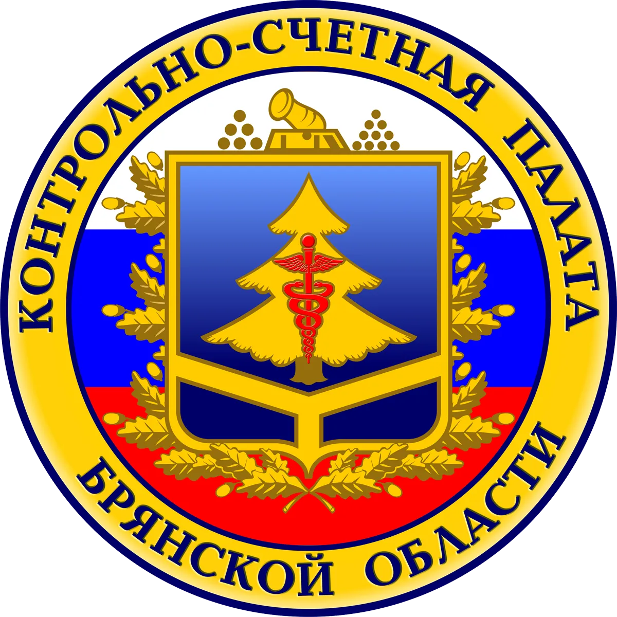 Контрольно-счетная палата Брянской области